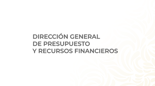 Dirección General de Presupuesto y Recursos Financieros