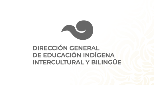 Dirección General de Educación Indígena Intercultural y Bilingüe