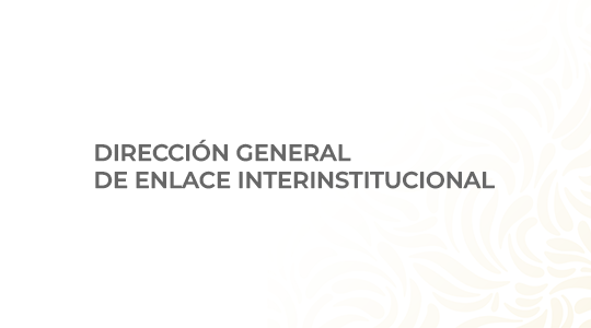 Dirección General de Enlace Interinstitucional 
